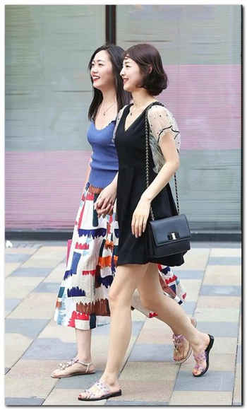 穿越红楼之尽收后宫