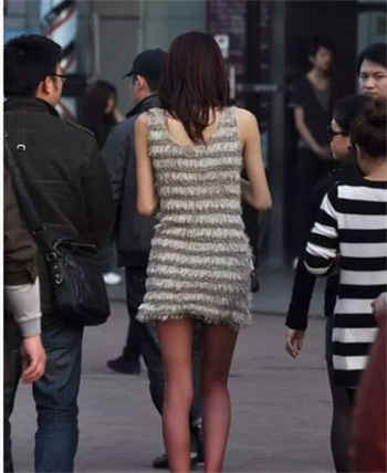 狗狗不动了咋办