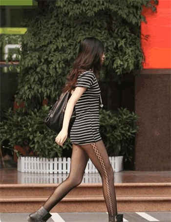 禁秘密的小狗俱乐部