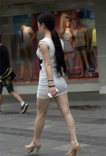 求臣服四部曲类型的小说