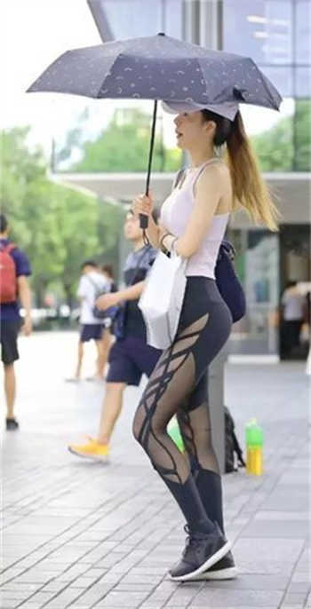 猫咪永久找到回家的路1.12