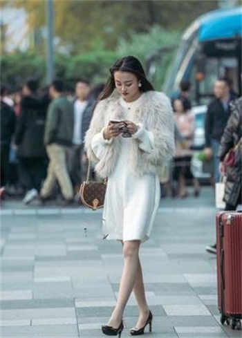 少主的小男宠