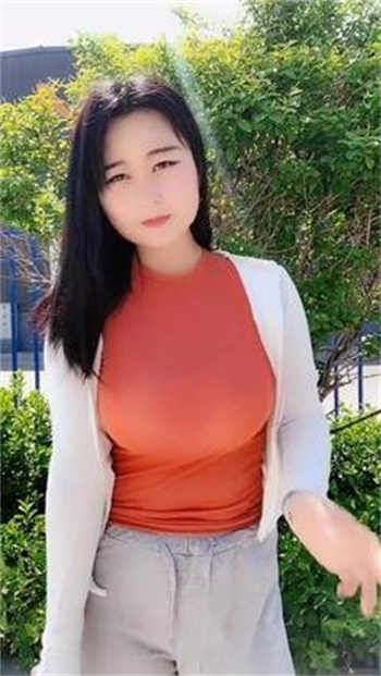 卧龙影视无广告旧版
