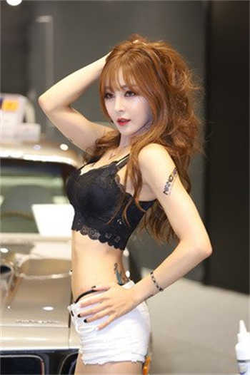 王子的骑士txt